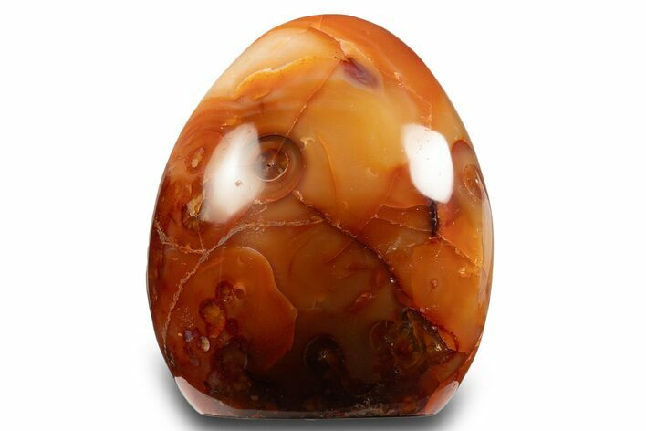 Free-Standing, Polished Carnelian Agate - Madagascar #333283